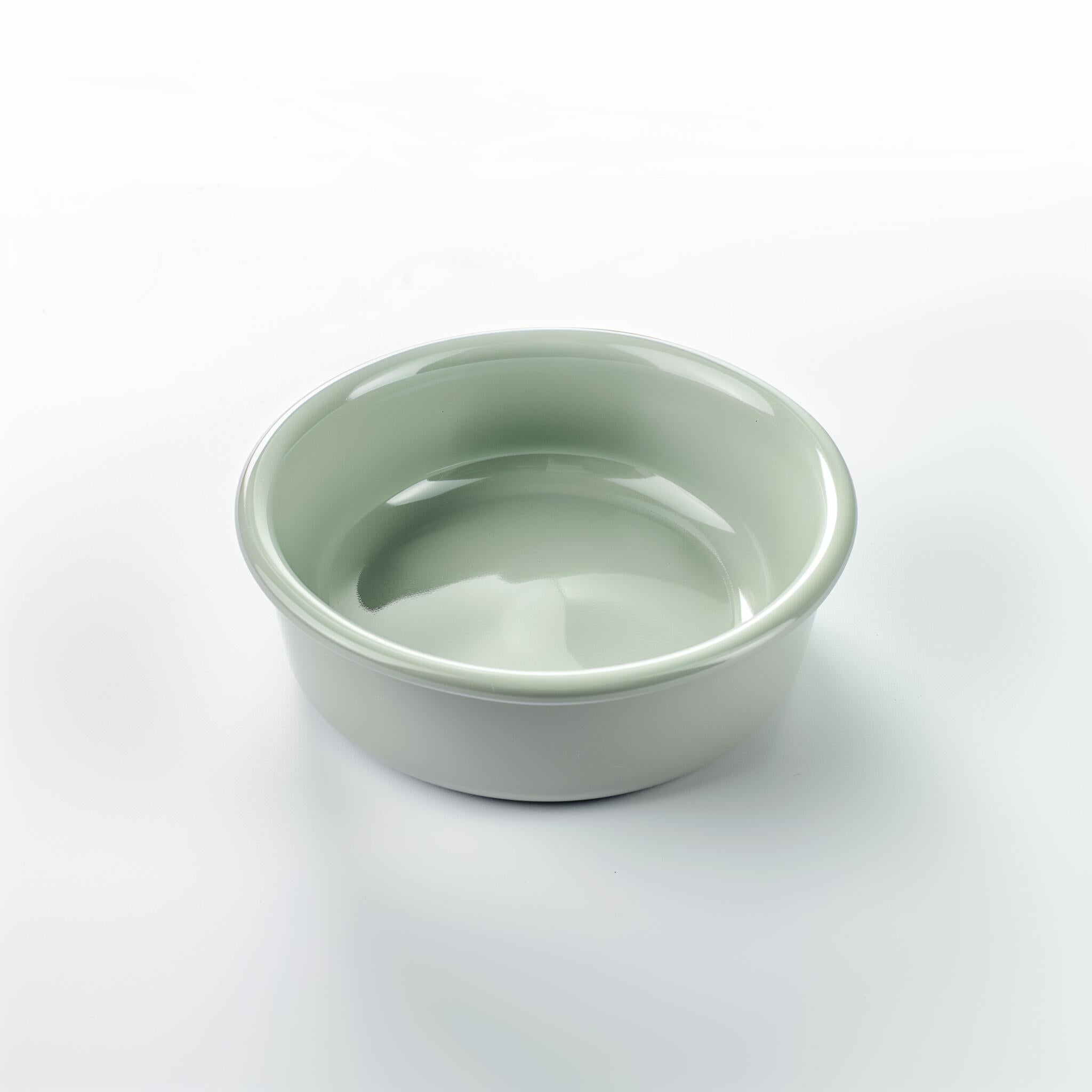 water bowl